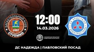 Соревнования Московской области, Дивизион Восток.