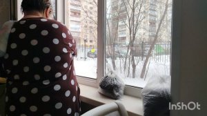 14.03.26.Моя городская жизнь 👩🏢❄️❄️❄️