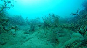 Глубина в марте. Черное море.