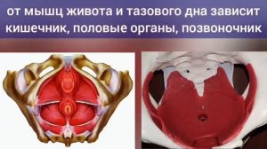 Зажим полового канала вредит органам таза. Упражнения для запирательной мышцы