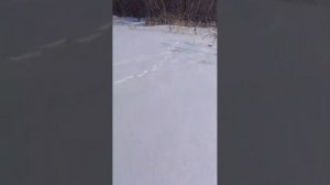 интересное видео
