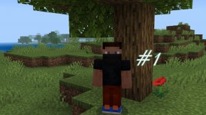 Выживание в MINECRAFT #1 !!!