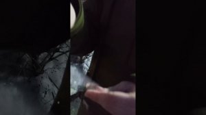 как наклеить защитку