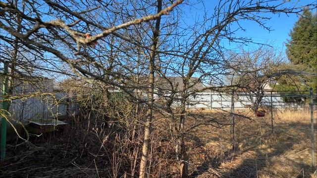 Окраинная 12