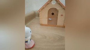 сериал « Лизины истории » 1 сезон 2 серия