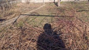 Что день грядущий нам готовит.