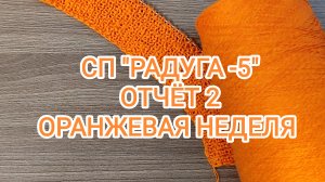 СП "РАДУГА -5"/ ОТЧЁТ 2. ОРАНЖЕВАЯ НЕДЕЛЯ