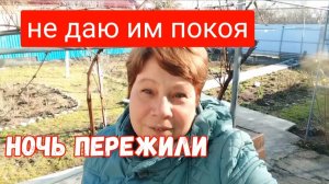 #200🏡Не подготовилась/Ночь пережили/Куриный день/Дрова перевезли