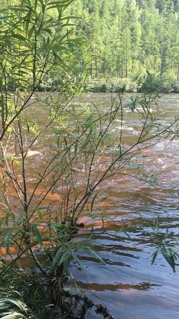 ШАМАН КАМЕНЬ