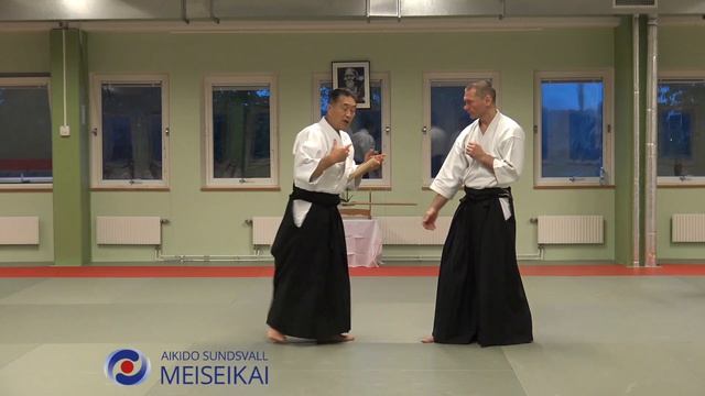 14.Aikido Ken No Tebiki Ikkyo Omote Shishiya Sensei Malmö 2017