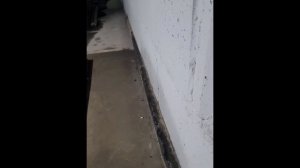 парковка в новом доме.mp4