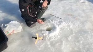 YouCut_20260314_124847393