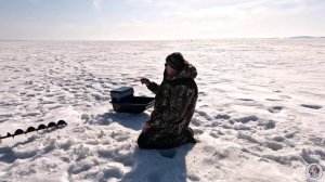 Рыбалка  с  Владимиром.  Волга. 14.03.2025 год.