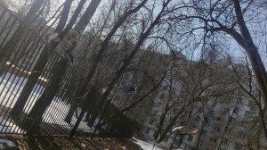 13 марта завтра 14 подарок от волшебника