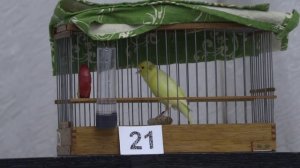 конкурсант 2025 года.mp4