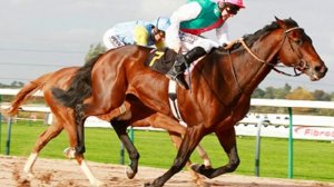 Жизнь, как скачки. Ст. Л. Лабинцевой, исп и муз Н. Жукова