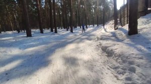 В лесу благодать))