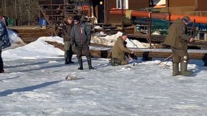 Поклевка и поимка на подсекайку