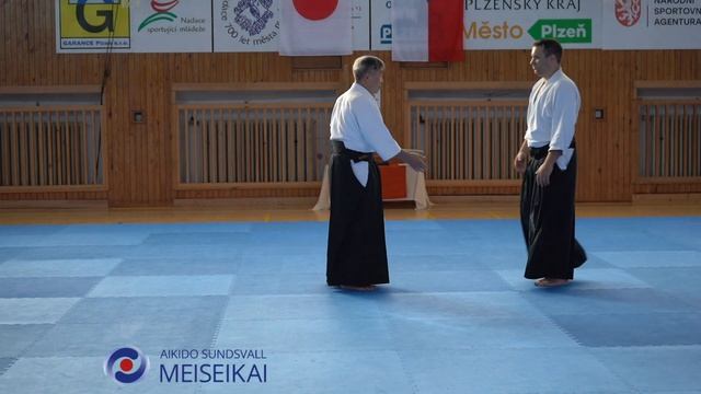 13.Aikido Ai Hanmi Kotegaeshi, Shihonage & Iriminage Shishiya Sensei Pilsen 2023