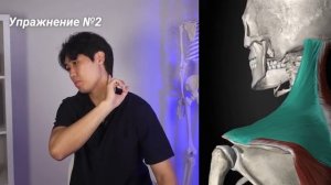 Увеличь кровоснабжение мозга | Зрение чётче, слух острее, ясная голова, хорошая память