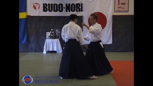 14.Aikido Yokomen Uchi Ikkyo, Shishiya Sensei 2003
