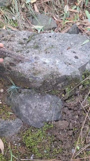 Как находят драгоценные камни 🪨