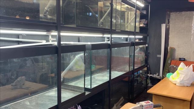 Пруд в гараже.Стойка для дискусов.Еженедельный отчет