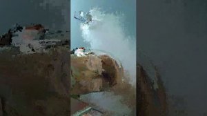 выживают в меи́нкрафте