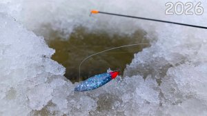 Секретная Лунка В Восточной Сибири. Ловлю Окуней. Лучшая Зимняя Рыбалка 2026. Русская рыбалка Онлайн