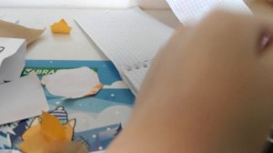 VID_20260312_113853.mp4