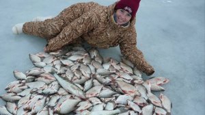 СТОЛЬКО МНОГО РЫБЫ, КУДА_! ВЗЯЛ ЖЕНУ НА РЫБАЛКУ!!