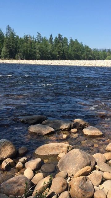 МОМЕНТЫ НА ПРИРОДЕ. МОЯ ПРЕКРАСНАЯ РЕКА ХАНИ