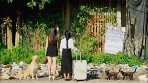 Две девушки восстанавливают старый родительский дом. Бушкрафт