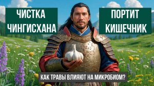 Травы подавляют полезные бактерии в кишечнике?