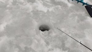 Карелия Петрозаводск.Онега.