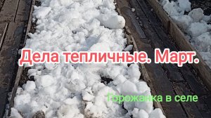 Дела тепличные. Март.