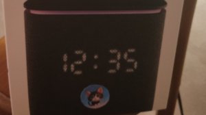 Алиса и котёнок почемучка.