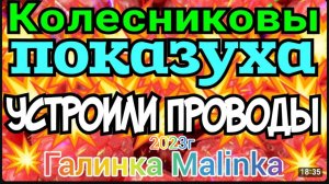 Колесниковы _Показуха _Устроили проводы_Обзор Влогов _7-Я Колесниковых _Деревенский дневник _
