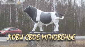 Живи пока живется 🎵 Песня супер !