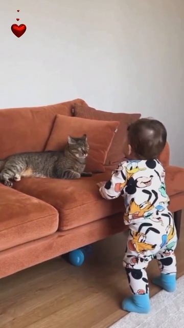 😻Веселые котики. Дети и кошки - бои без правил! #кот #дети #бой #кошка #short