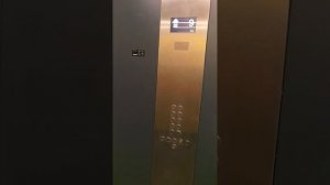 VID_20260314_152049.mp4