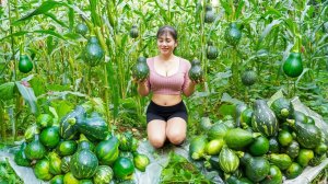 Прополка кукурузы в поле. Урожай тыквы везу на продажу на сельский рынок. Нхат. Вьетнам