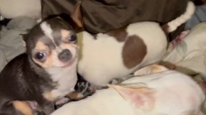 Доброго субботнего утречка и чудесного начала дня!