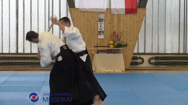 6.Aikido Ken No Tebiki Ai Hanmi Ikkyo Omote, Shishiya Sensei Pilsen Oktober 2018