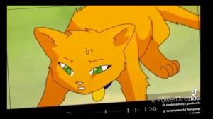 перезалив моно видео