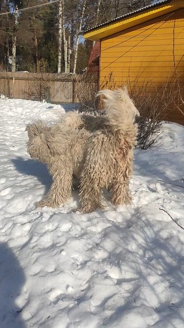 бесилки🥰🥰🥰