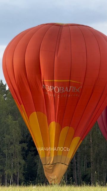 Аристократы