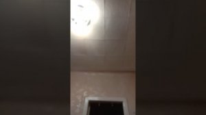 video_20260314_230334.mp4