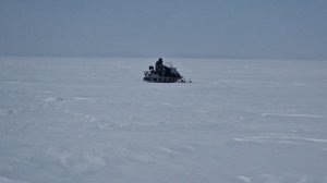 Бурашка 14 марта 2026