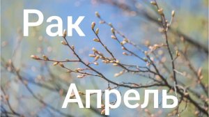 Таро расклад для Раков на апрель 2026 года